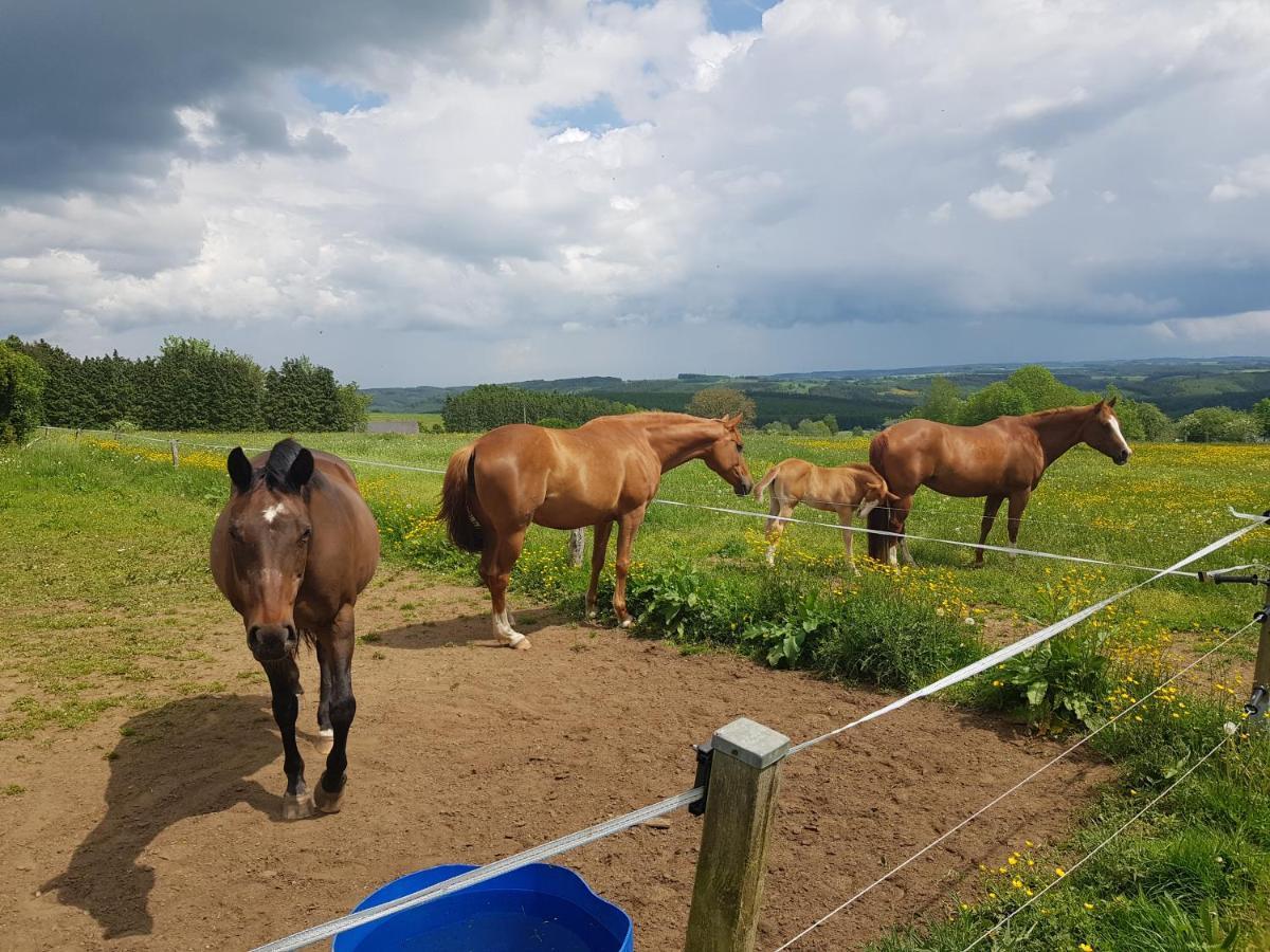 Auberge Des Blancs Cailloux Villa Mousny Eksteriør billede